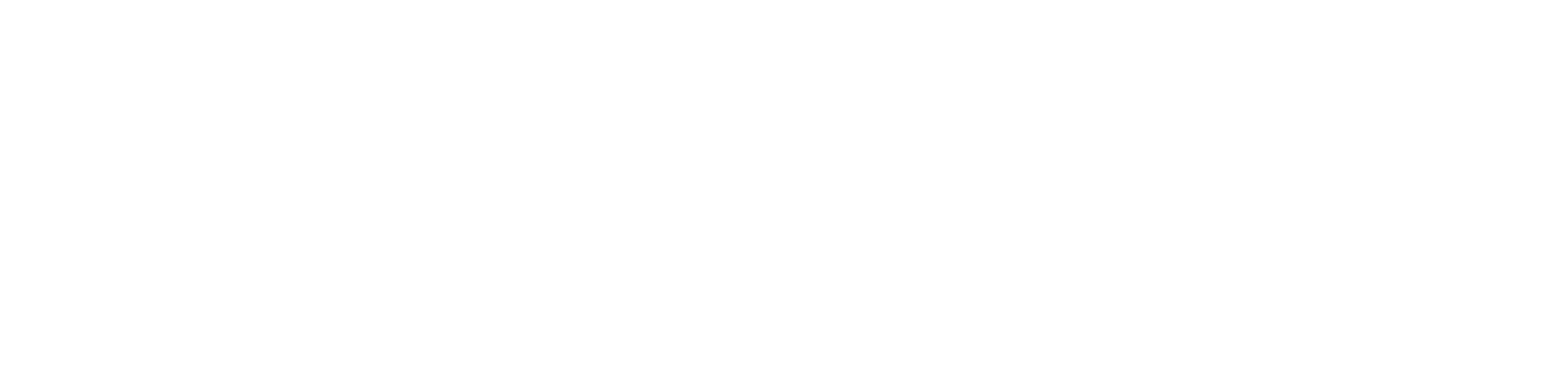 Beretta Protection
